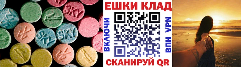 ЭКСТАЗИ mix  купить закладку  Сланцы 