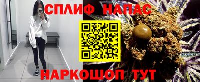 гидропоника Гусев