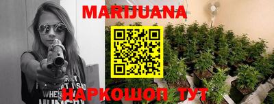 гидропоника Гусев