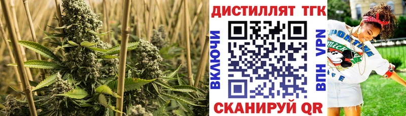 дарнет шоп  Сланцы  ТГК вейп с тгк 