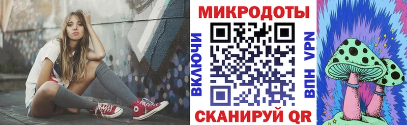 Галлюциногенные грибы мицелий закладки Сланцы
