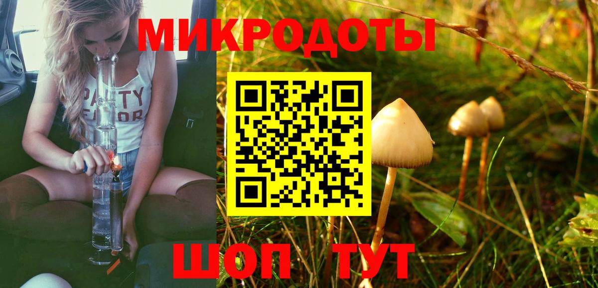 Псилоцибиновые грибы Magic Shrooms  Вход с VPN  Сланцы  Псилоцибиновые грибы ЛСД 